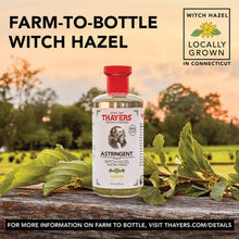 Load image into Gallery viewer, Witch Hazel Aloe Vera Astringent by Thayer&#39;s - Lemon